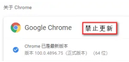 如何关闭Google Chrome浏览器自动更新功能6