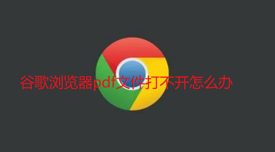 谷歌浏览器pdf文件打不开怎么办1