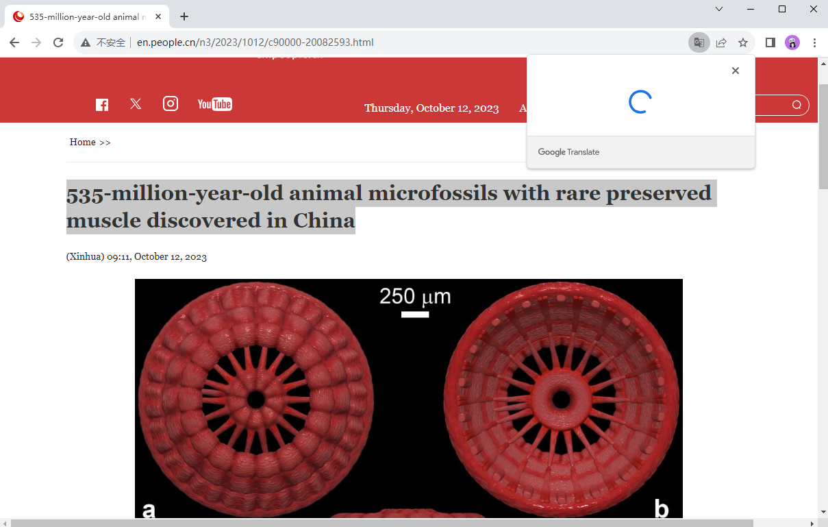 chrome最新官方版截图4