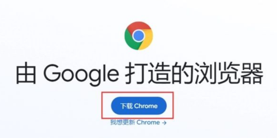 为什么谷歌浏览器提示无法更新Chrome5