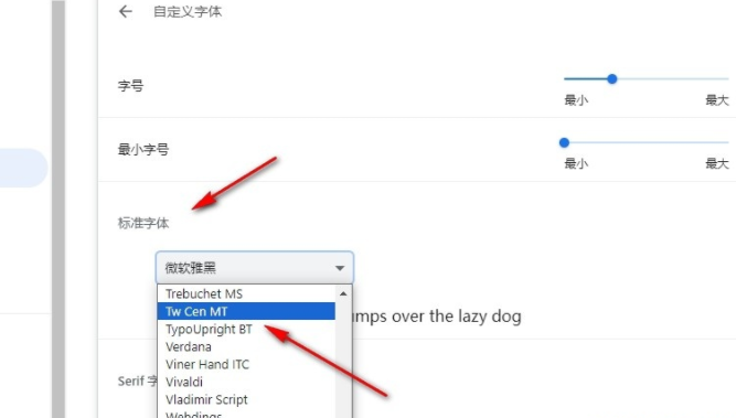 谷歌浏览器怎么更改网站默认字体6