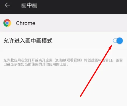 手机谷歌浏览器画中画功能怎么打开7
