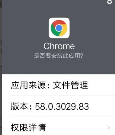 安卓手机如何安装chrome浏览器4