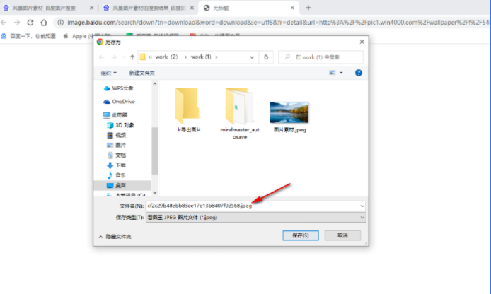 谷歌浏览器如何保存图片JPG7