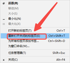 怎么恢复谷歌浏览器意外关闭的标签页4